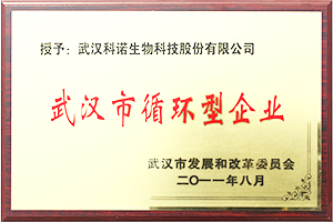 武汉市循环型企业 